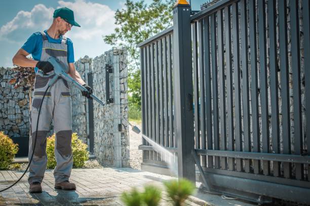 Best Rust Removal  in Holtville, AL