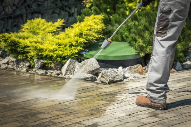 Reliable Holtville, AL Pressure Washing Solutions